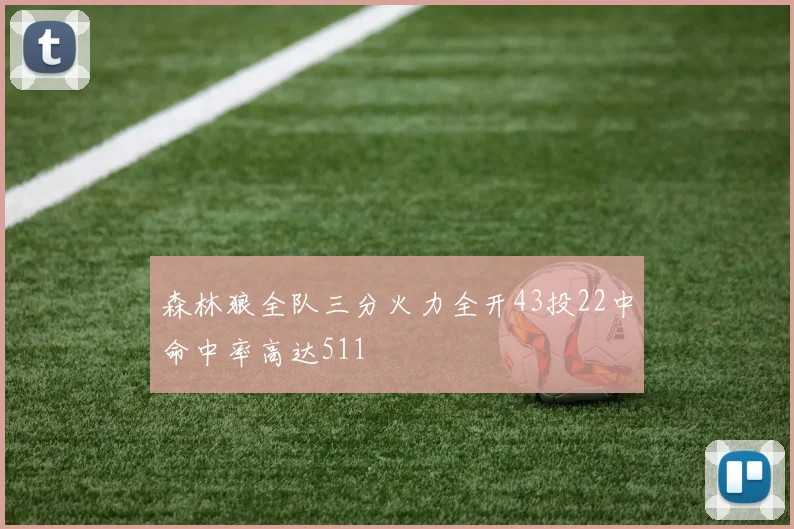 森林狼全队三分火力全开43投22中命中率高达511