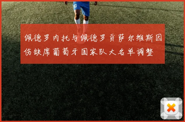 佩德罗内托与佩德罗贡萨尔维斯因伤缺席葡萄牙国家队大名单调整